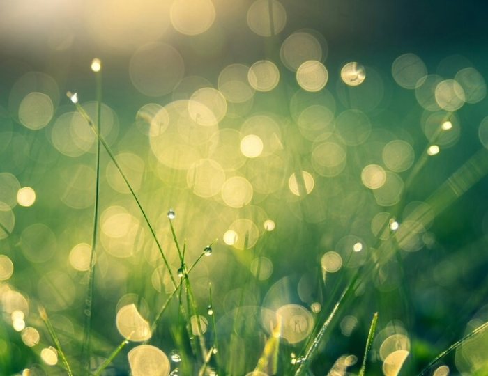 Оздоровительная - Санаторий «им. Горького» Кисловодск