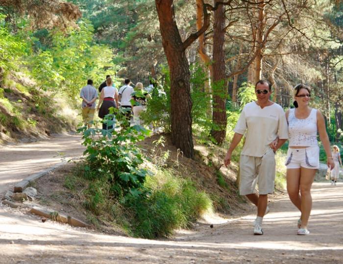 Терренкур - Санаторий «им. Горького» Кисловодск